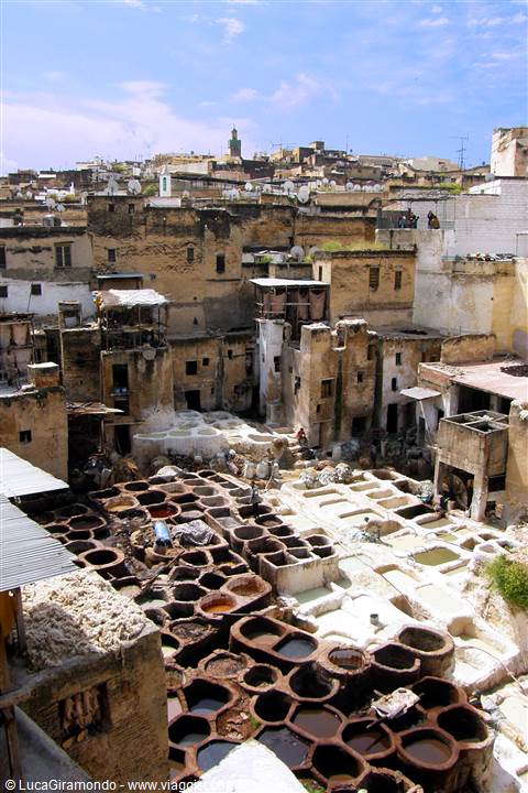 Fes - Conceria Guerniz