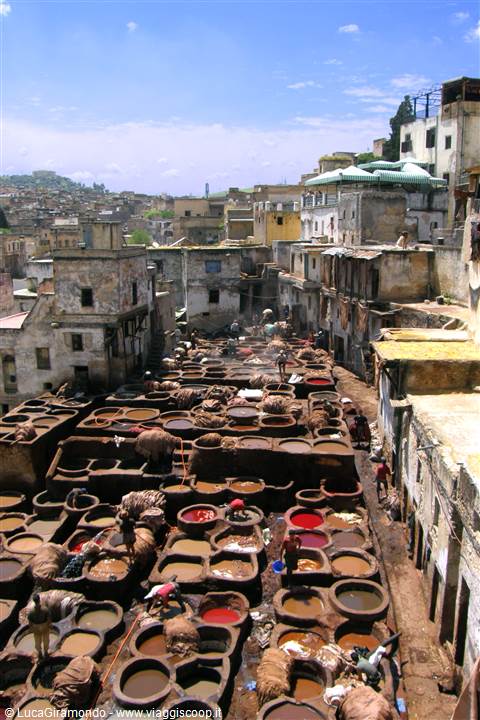 Fes - Concerie Chouara