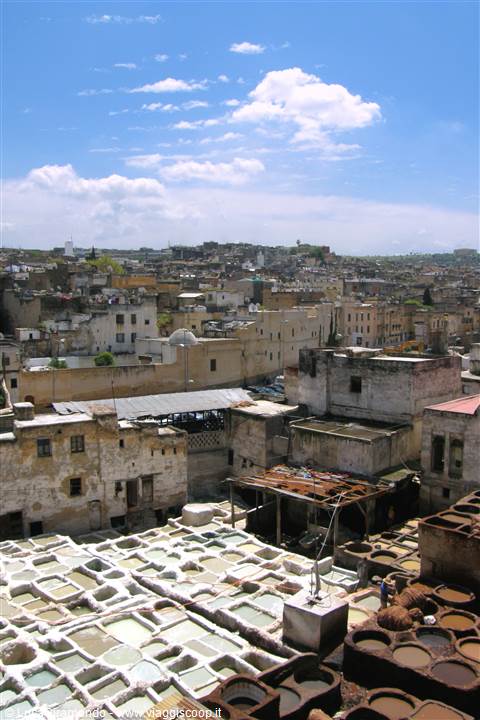 Fes - Concerie Chouara