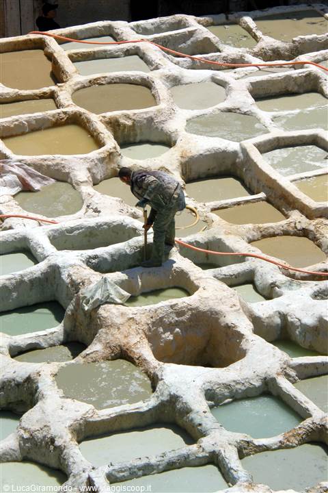 Fes - Concerie Chouara