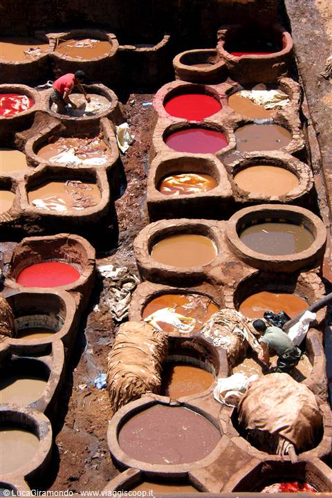 Fes - Concerie Chouara