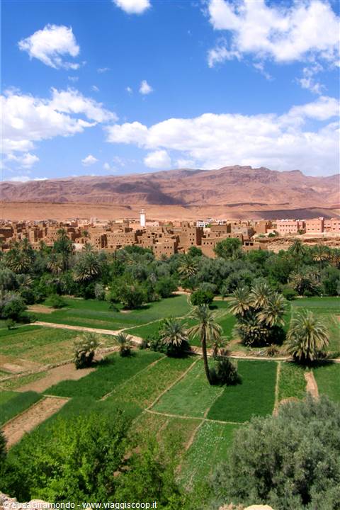 Oasi di Tinghir