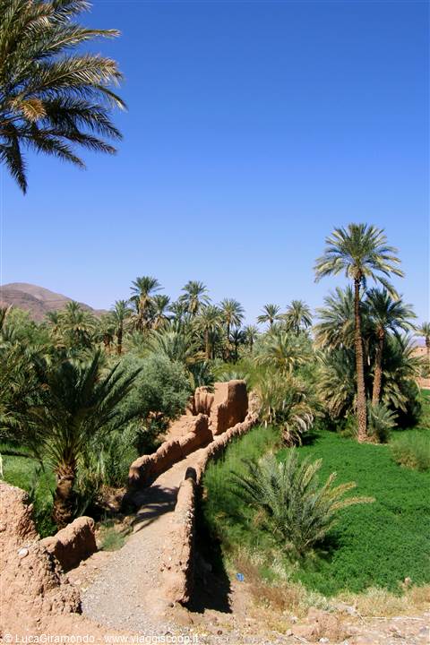 Valle del Draa - Ksar Tamnougalt