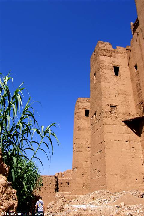 Valle del Draa - Ksar Tamnougalt