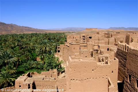 Valle del Draa - Ksar Tamnougalt
