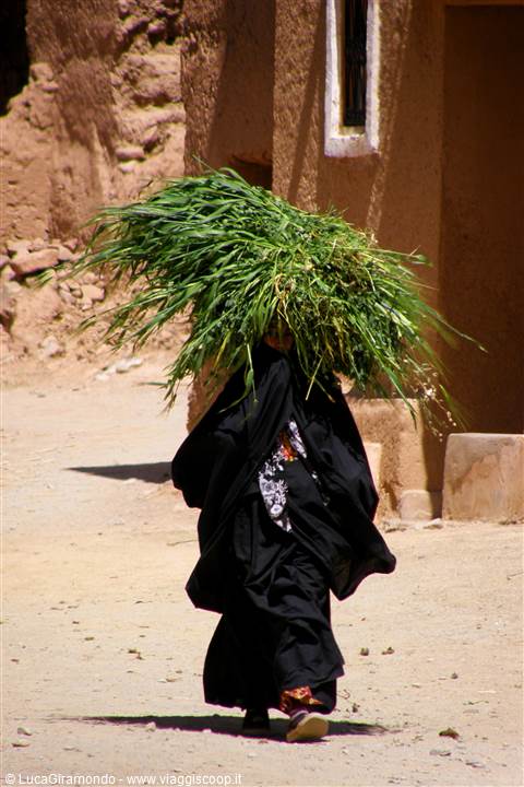 Valle del Draa - Kasbah Timiderte