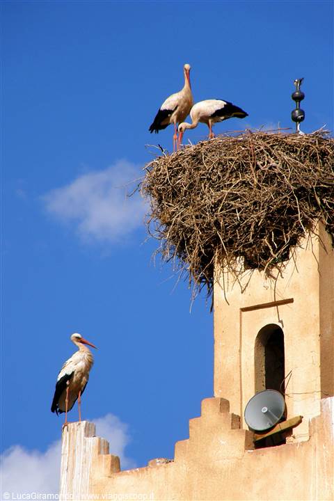 Ouarzazate - Kasbah Tamelsa