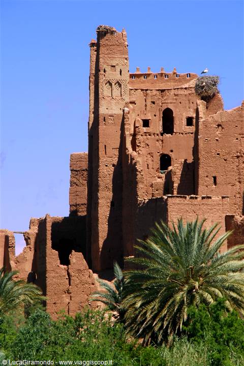 Kasbah Tamdaght