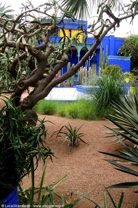 Marrakech - Giardini Majorelle