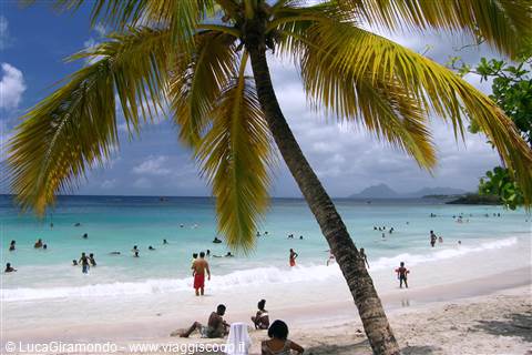 Anse Figuier