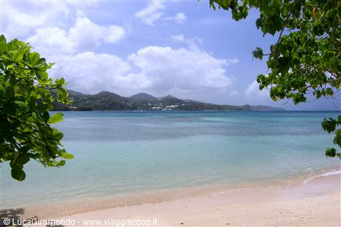 Anse des Raisiniers