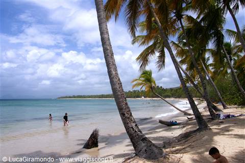 Grande Anse des Salines