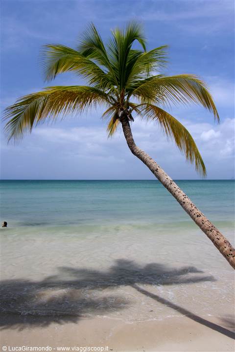 Grande Anse des Salines