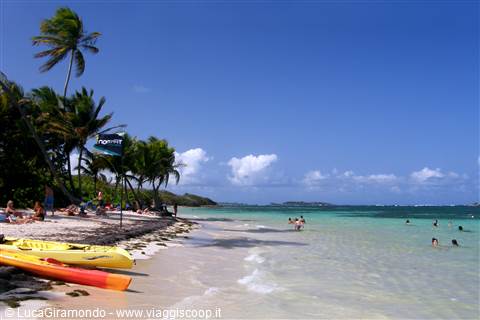 Anse Michel
