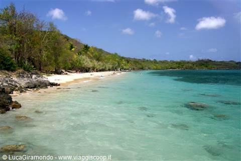 Pointe Borgnesse