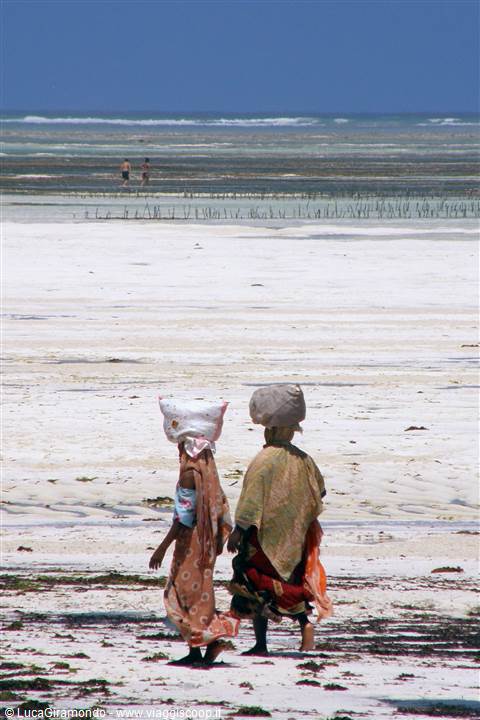 Pwani Mchangani
