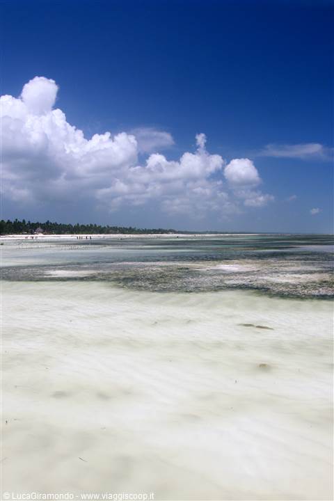 Pwani Mchangani