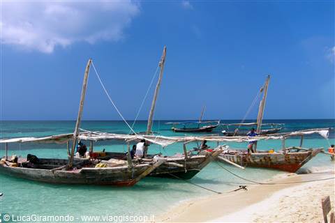 Kwale - Banco di sabbia