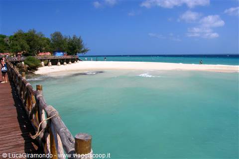Prison Island