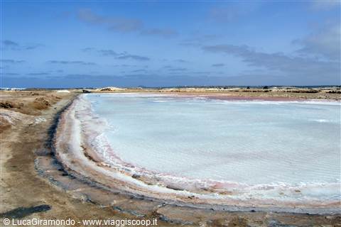 Santa Maria - saline