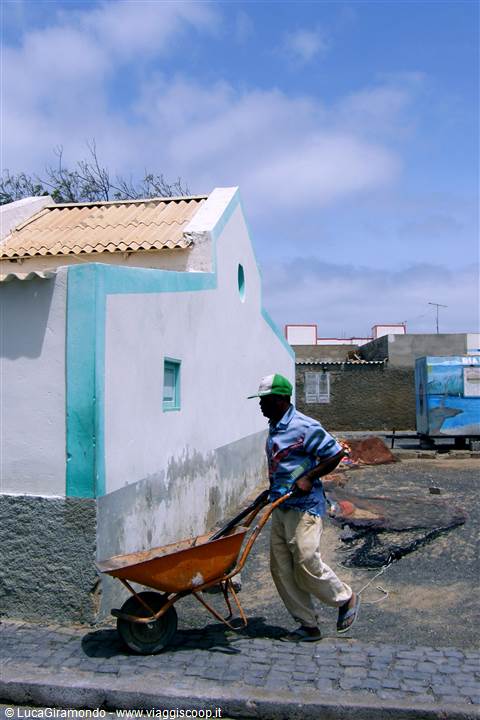 Palmeira