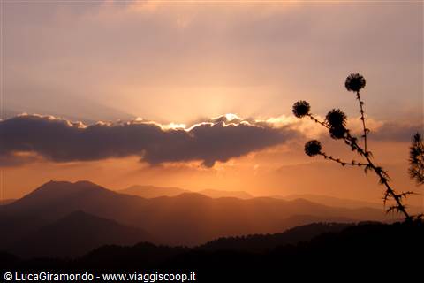 Monti Troodos - Tramonto