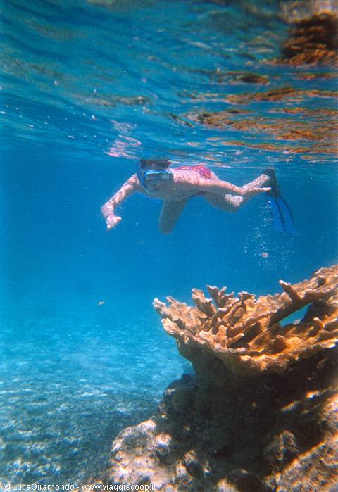 Il fondale di Coki Beach