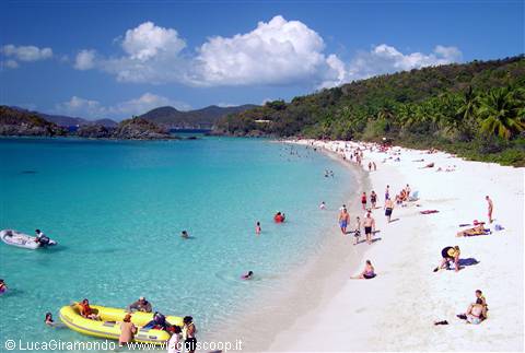 Trunk Bay