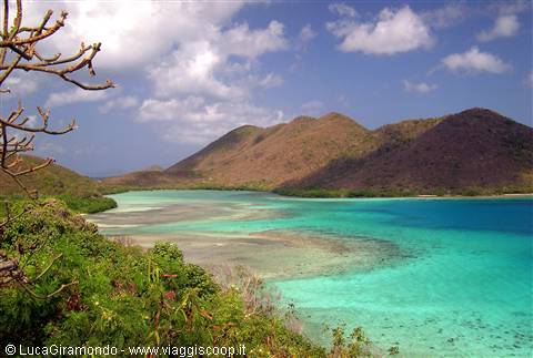 Leinster Bay