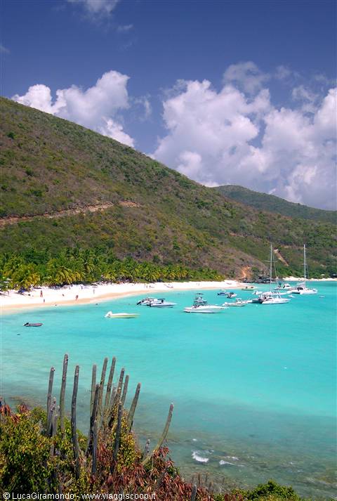 White Bay
