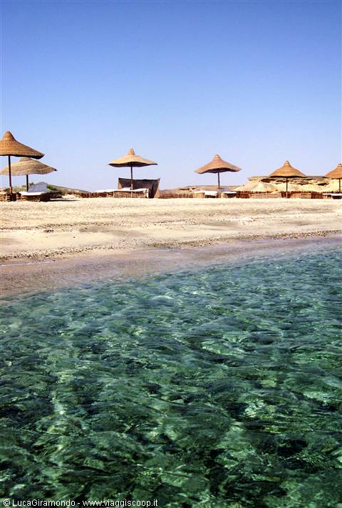 Abu Dabbab