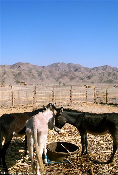 Deserto Orientale