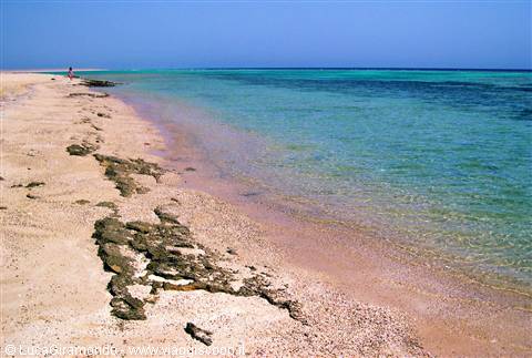 Awlad Barka