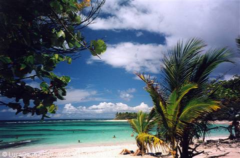 Plage de Raisins Clairs