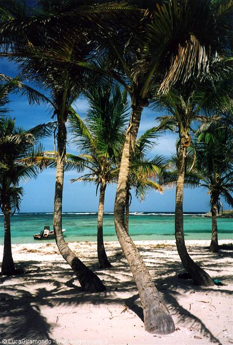 Îles de la Petite-Terre