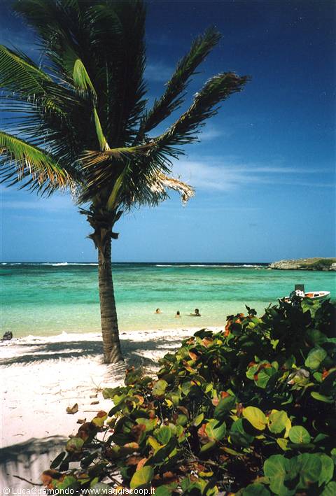 Îles de la Petite-Terre