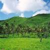St. Martin - Colombiere ANTILLE OLANDESI 
