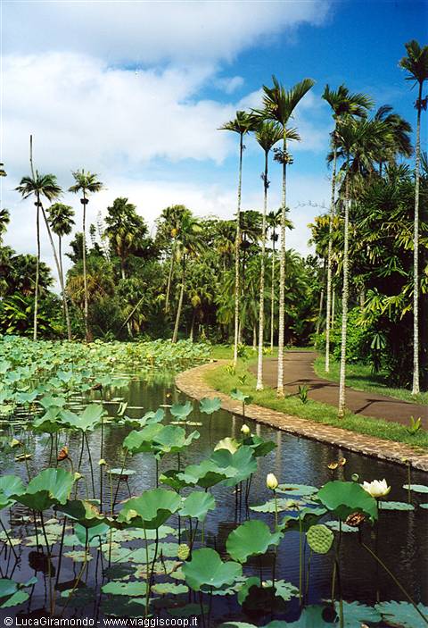 Giardini di Pamplemousses