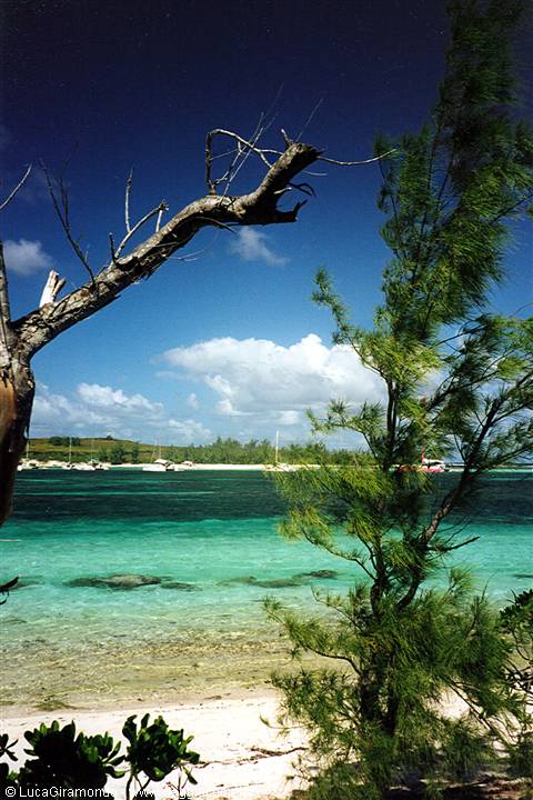 l'Ile Plat