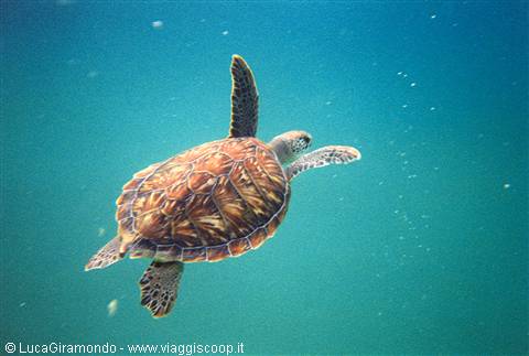 Xel-Ha