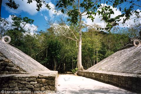 Cobá