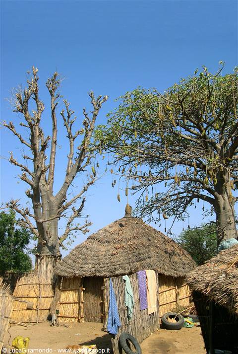 Villaggio nella savana