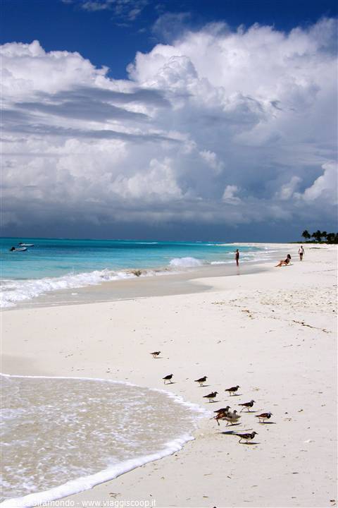 Grace Bay
