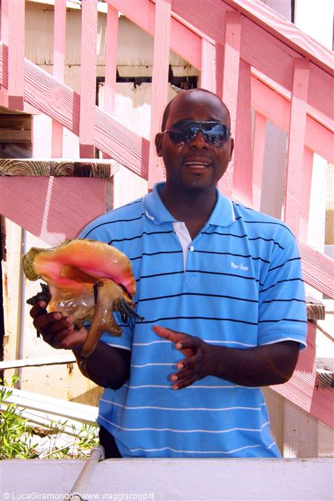 Conch Farm