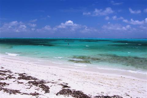 Grace Bay - Smith's Reef