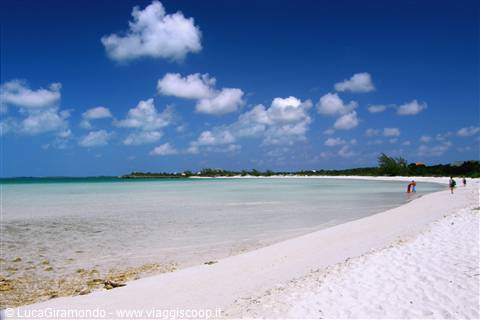 Taylor Bay