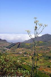 Valle de el Palmar