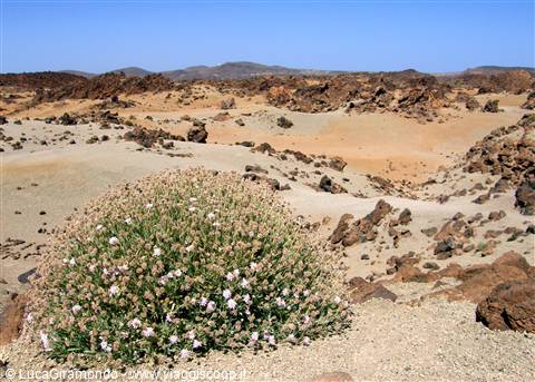 Parque Nacional del Teide - Minas de San Josè