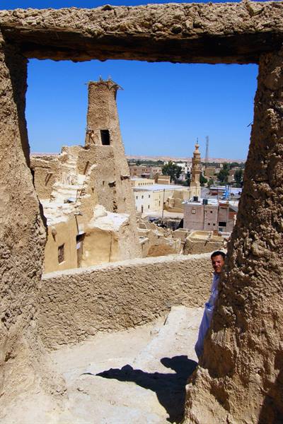 Siwa - Rovine di Shali