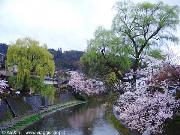 Takayama